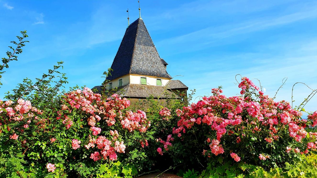 stadtlandkuss_umgebung_graz_grazer_uhrturm