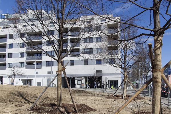 von_fliegenden_waenden_spruehenden_funken_wohnen_in_st_gotthard_baustelle