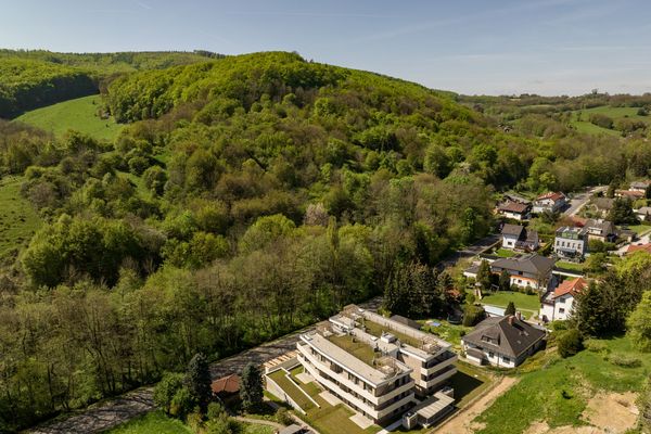 inside_1_reihe_wienerwald_kaltenleutgeben_fertigstellung