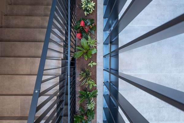 key_moment_city_country_kisses_completion