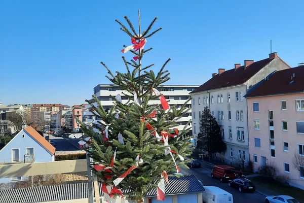 dachgleiche_fuer_stadtlandkuss_gleichenfeier