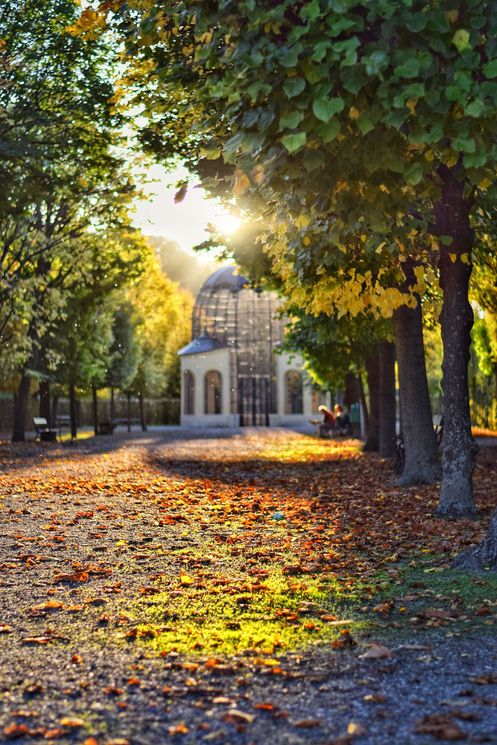 rosina_brick_grangasse_umgebung_schoenbrunn