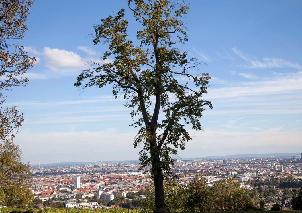 16er_flair_umgebung_stadt_ausblick_natur