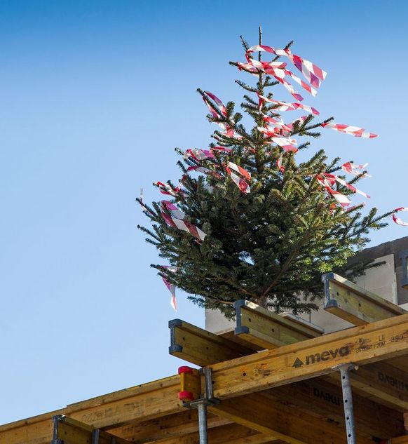 the_roof_is_up_at_wienerwald_view_topping_out_construction_progress