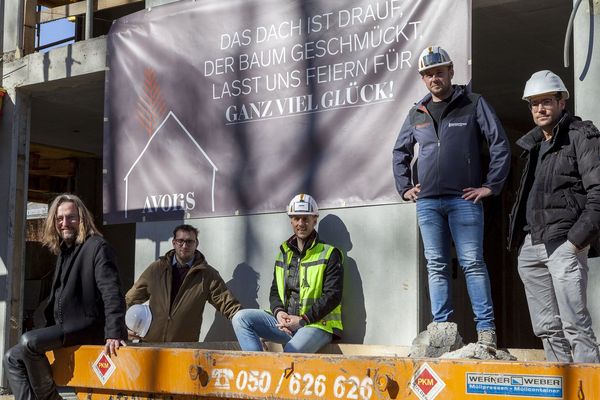 das_dach_ist_drauf_in_der_1_reihe_wienerwald_dachgleiche_baufortschritt