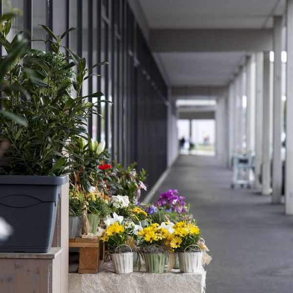 closing_a_gap_dionysius_neighborhood_center_weidfeld_flower_shop