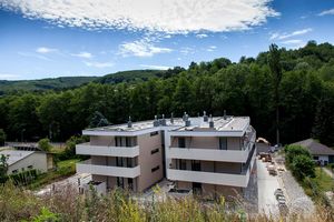 baufortschritt_1_reihe_wienerwald_fassade