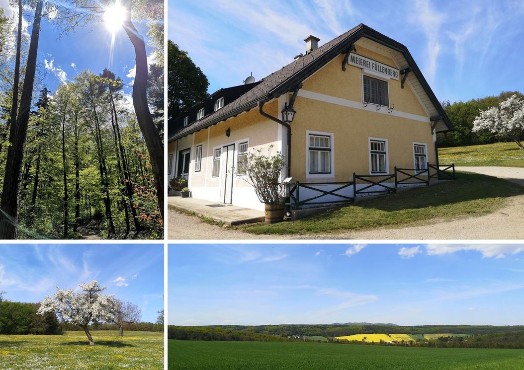 1_reihe_wienerwald_hauptstrasse_2391_kaltenleutgeben_umgebung
