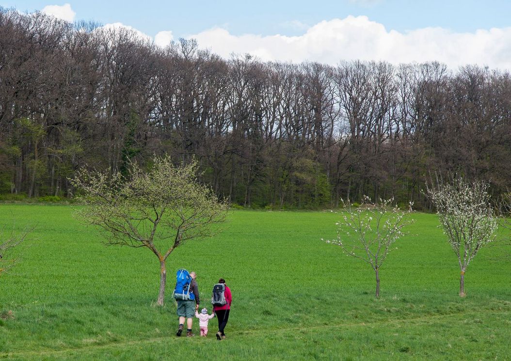 1_reihe_wienerwald_umgebung_familie