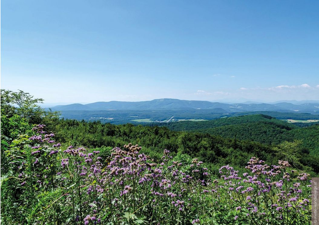 1_reihe_wienerwald_umgebung_natur