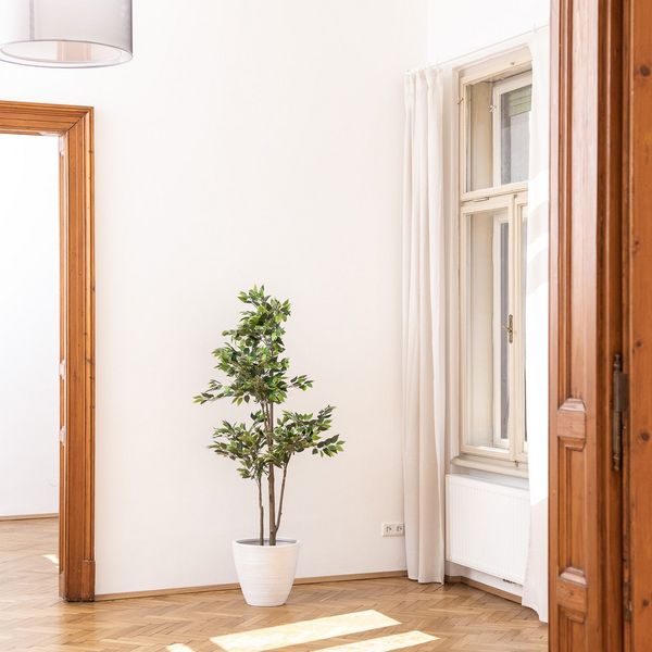 belebung_des_ortskerns_juwel_im_josefee_kremplhof_bestand