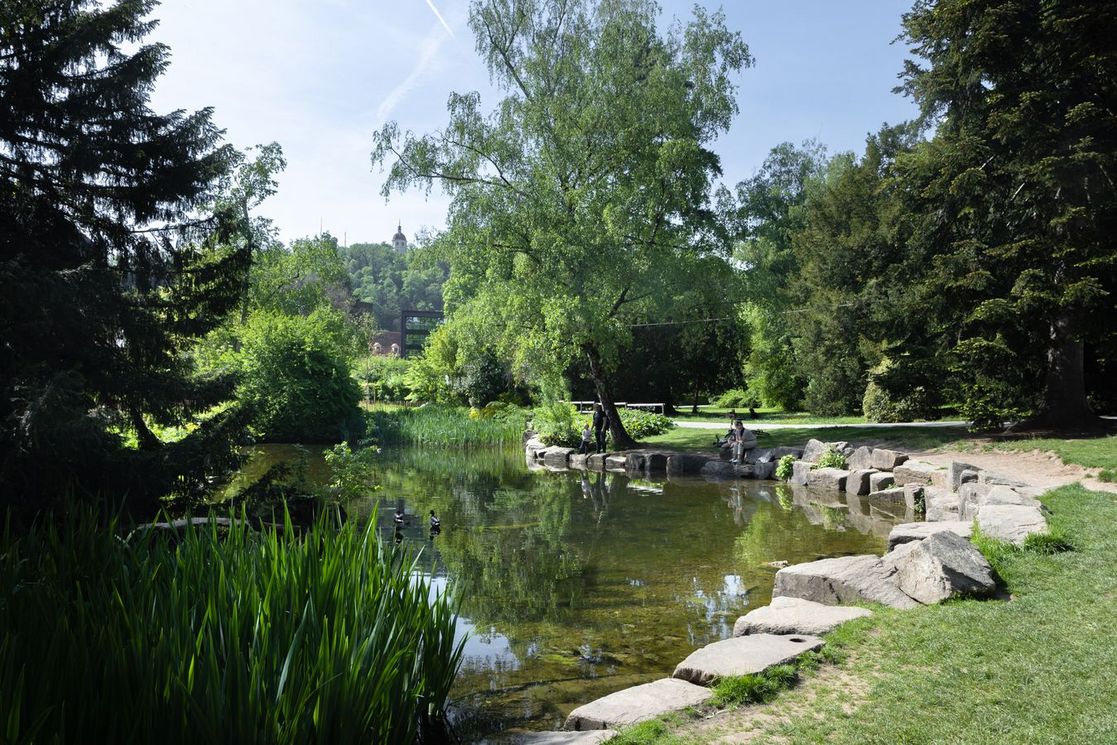 greg_grey_rusty_rose_umgebung_graz_stadtpark_teich