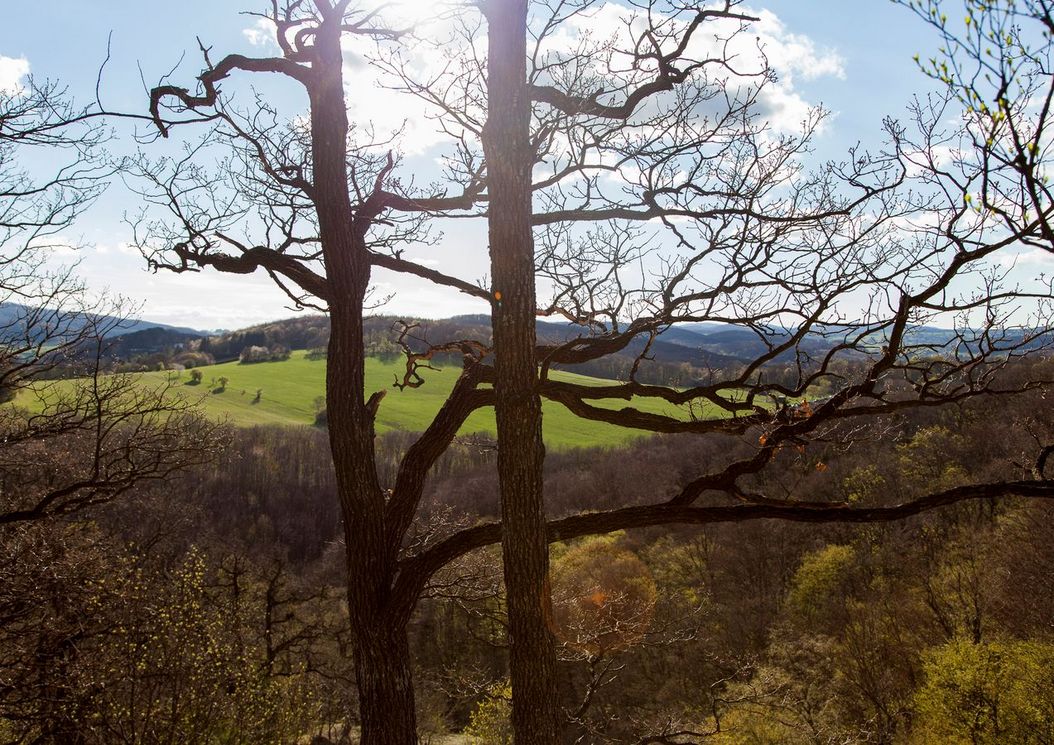 1_reihe_wienerwald_umgebung