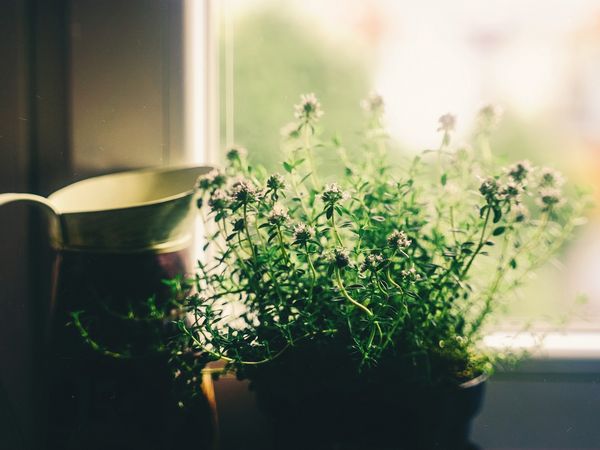 coming_home_thoughts_songs_inspiration_information_zuhause