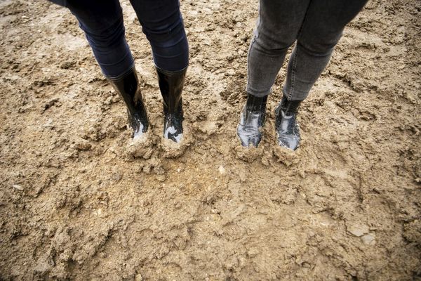 hoch_die_spaten_in_der_1_reihe_wienerwald_spatenstich