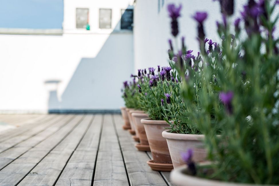 love_is_in_the_air_dachterrasse