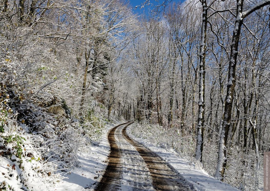 1_reihe_wienerwald_umgebung