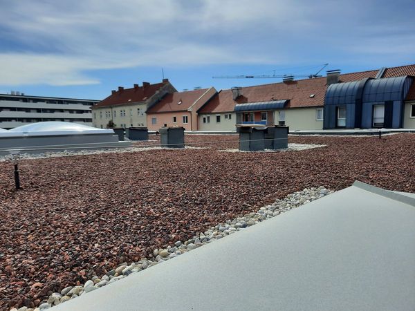 sold_out_stadt_land_kuss_bauverlauf_baufortschritt