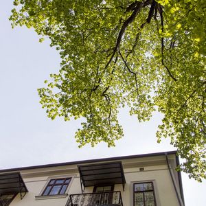 belebung_des_ortskerns_juwel_im_josefee_kremplhof