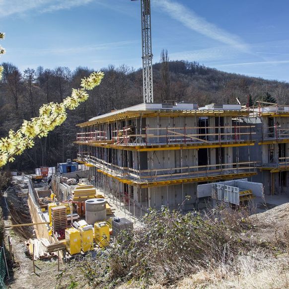 the_roof_is_up_at_wienerwald_view_topping_out_construction_progress