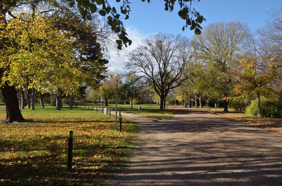 viktoriahof_umgebung_schoenbrunn_schlosspark