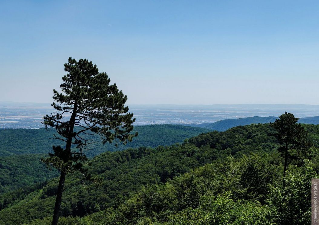 1_reihe_wienerwald_umgebung_natur