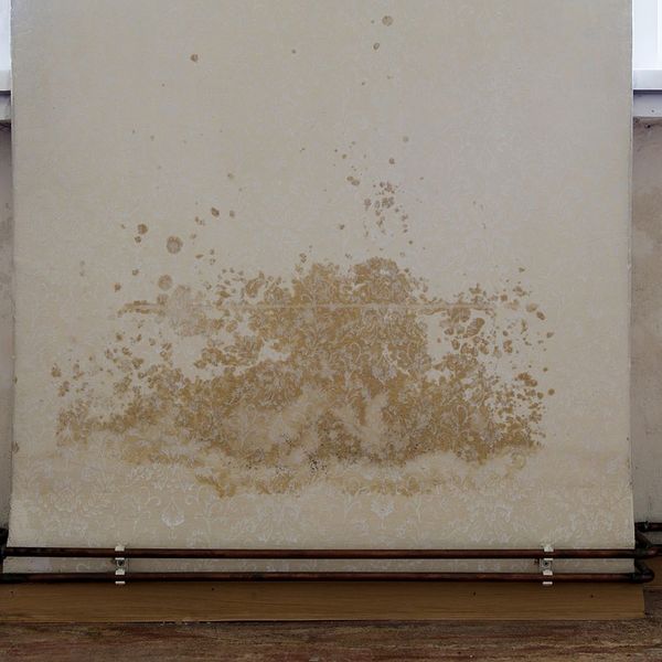 through_the_lense_vestiges_of_the_past_other_finds