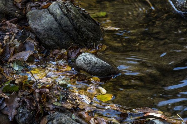 art_in_weidfeld_an_interview_dionysius_neighborhood_center_weidfeld_artwork_franz_durst