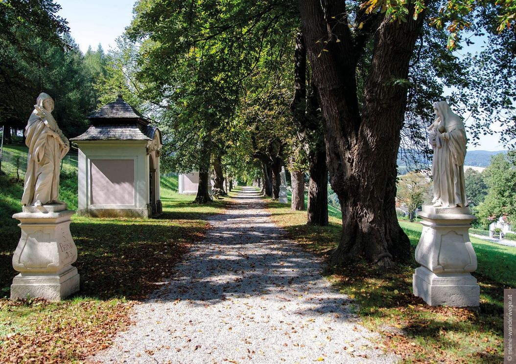 1_reihe_wienerwald_hauptstrasse_2391_kaltenleutgeben_umgebung