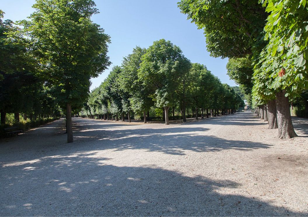 wohnen_am_wienfluss_umgebung_schoenbrunn_park