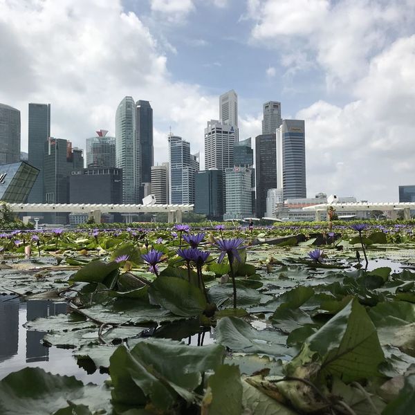 urban_songs_pics_1_inspiration_information_city