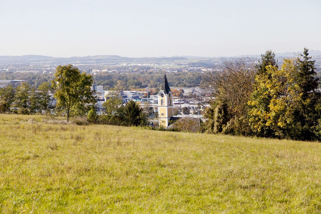 ausblick_ansfelden_landgutviertel