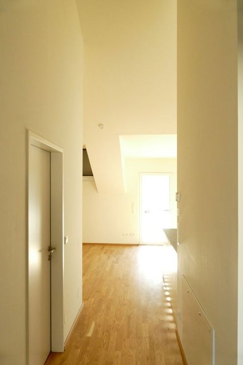 sonne_vorm_balkon_lilienthalgasse_wohnung