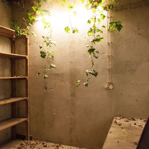 through_the_lense_vestiges_of_the_past_other_finds