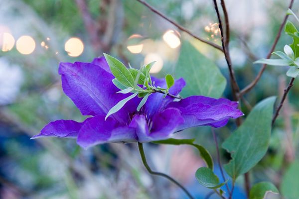 das_ist_ja_wie_im_urlaub_hier_wiener_stadtoase_wild_im_west