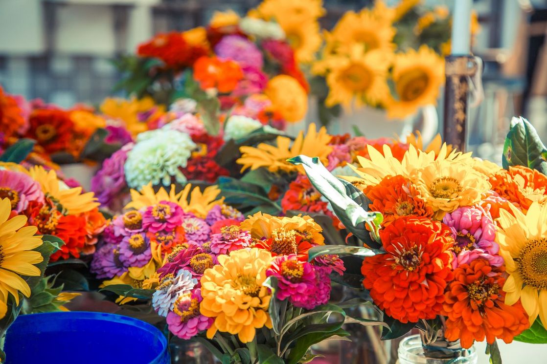 greg_grey_rusty_rose_umgebung_markt_blumen