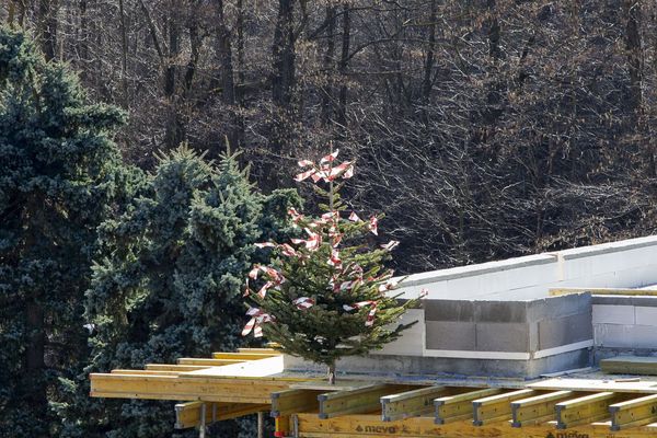 das_dach_ist_drauf_in_der_1_reihe_wienerwald_dachgleiche_baufortschritt