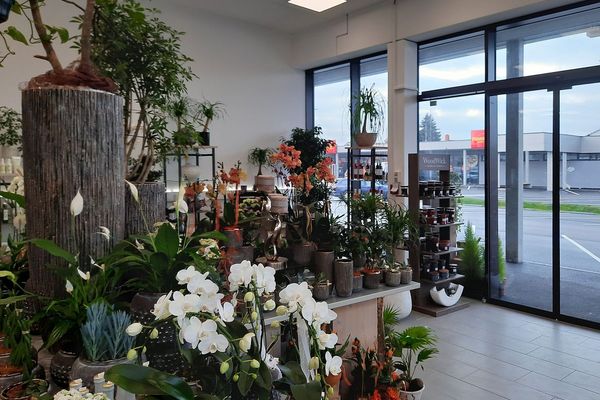 grand_opening_stz_weidfeld_eroeffnung