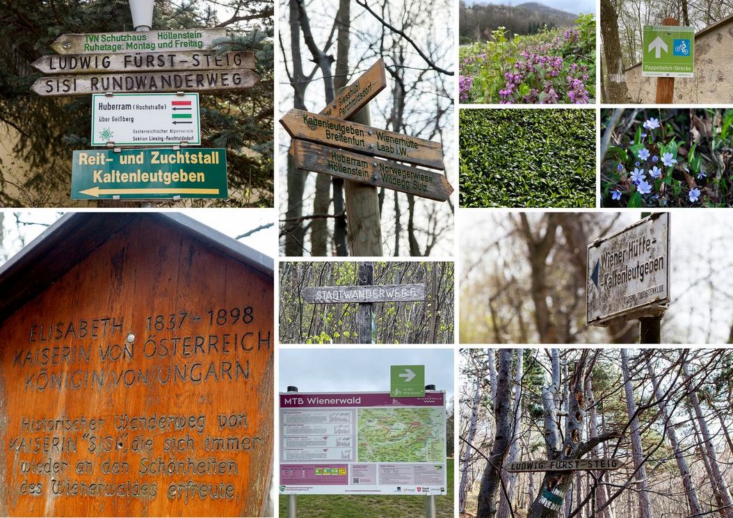 1_reihe_wienerwald_umgebung_wandern