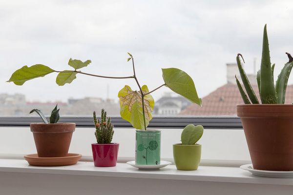 inside_viktoriahof_building_coming_home_wohnungen_bezug