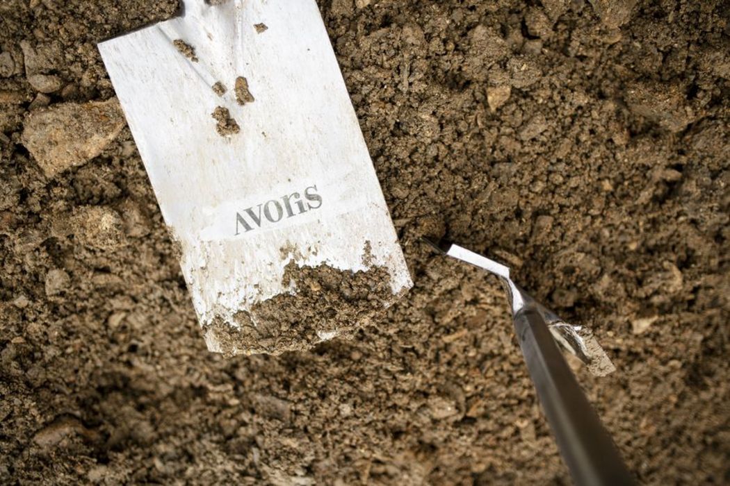 ready_your_shovels_at_wienerwald_view_building_coming_home