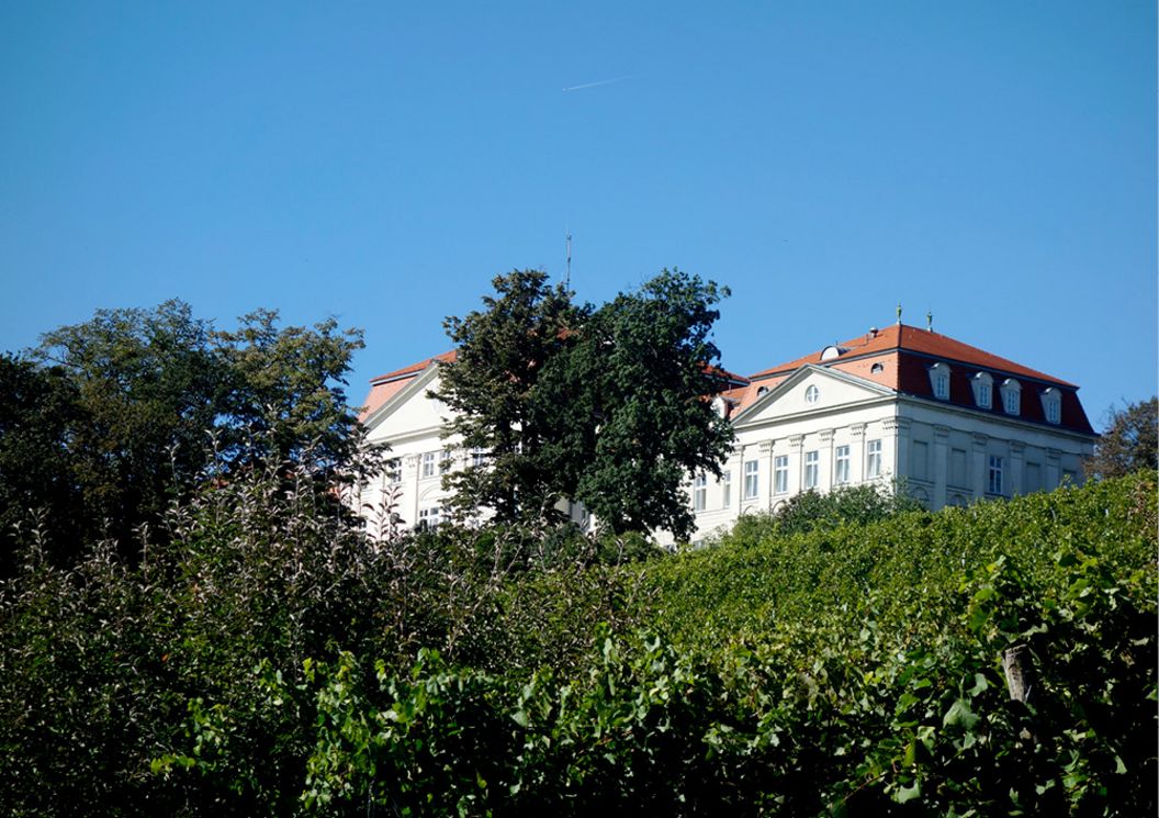 horneck_am_eck_umgebung_schloss_wilhelminenberg