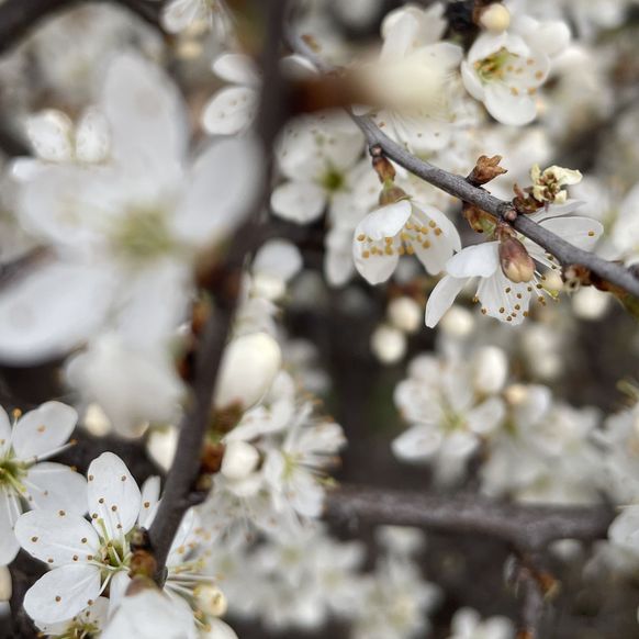 aufwachsen_in_der_natur_landgutviertel