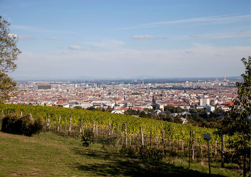 horneck_am_eck_umgebung_natur_panorama_weinberge_ausblick